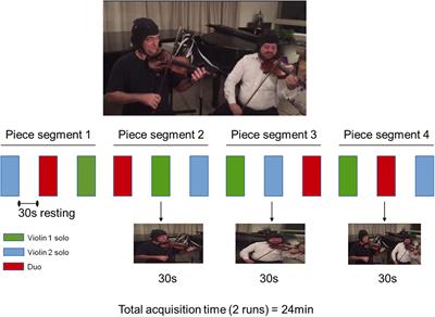 fNIRS Responses in Professional Violinists While Playing Duets: Evidence for Distinct Leader and Follower Roles at the Brain Level